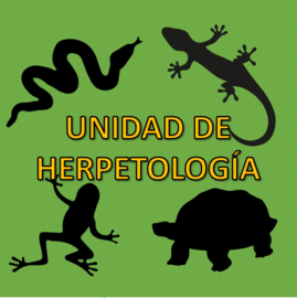 Ir a Unidad de Herpetología de la Facultad de Química, Bioquímica y Farmacia, Universidad Nacional de ...